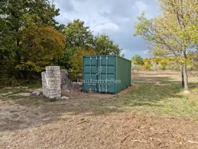 Agricultural land 13,000 m², Jural - olive grove and cistern - 6