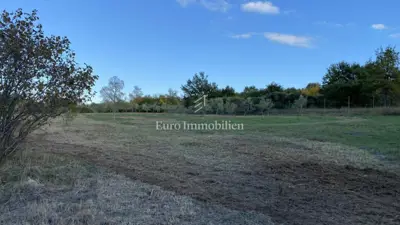 Agricultural land 13,000 m², Jural - olive grove and cistern - 9