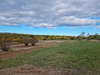 Agricultural land 13,000 m², Jural - olive grove and cistern - 10