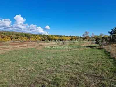 Landwirtschaftliches Grundstück 13.000 m², Jural - Olivenhain und Zisterne