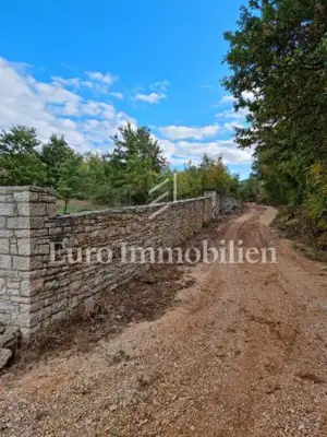 Agricultural land 13,000 m², Jural - olive grove and cistern - 5