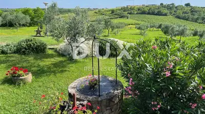 Hotel 758 m², Buje - restaurant, pool and sea view - 5