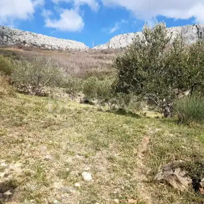 Građevinska parcela 1 715 m², Rupotina, infrastruktura u blizini - 8