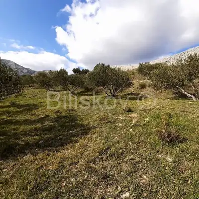 Građevinska parcela 1 715 m², Rupotina, infrastruktura u blizini - 6