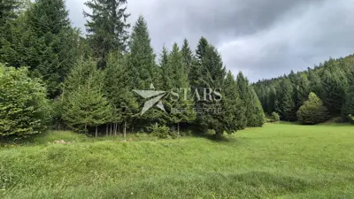 Baugrundstück 1.000 m², Tršće - Privatsphäre und Wald - 3