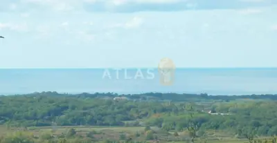 Building plot, Buje - sea view and quiet location