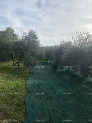 Building plot 1,575 m², Korelići - peace and privacy