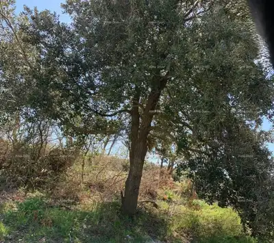 Građevinsko zemljište 715 m², Medulin - lijepa lokacija