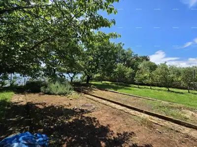 Vrhunska lokacija! 1 red do mora! - 13