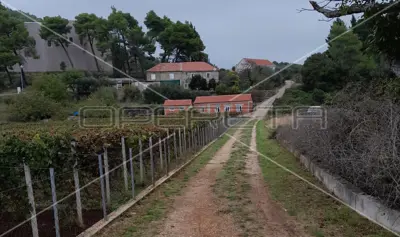 Landwirtschaftliches Grundstück, Šipanska Luka, Blick auf Weinberge - 2