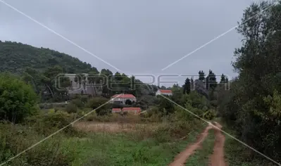Landwirtschaftliches Grundstück, Šipanska Luka, Blick auf Weinberge - 4