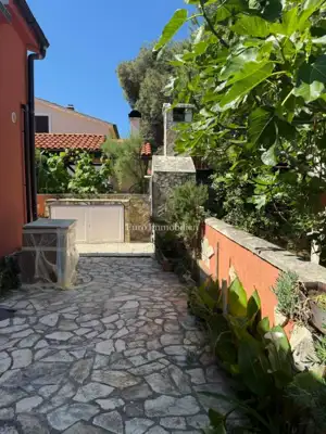 Apartment 27 m², Vir - 200 m from the sea and beach - 17