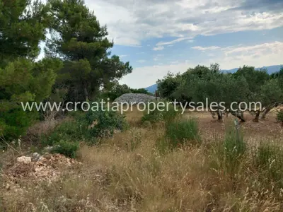 Landwirtschaftliches Grundstück 13.000 m², Otok Brač - leichte Hanglage - 7