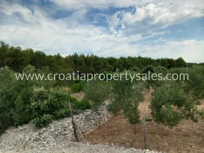 Landwirtschaftliches Grundstück 13.000 m², Otok Brač - leichte Hanglage - 6