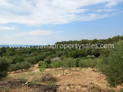 Landwirtschaftliches Grundstück 13.000 m², Otok Brač - leichte Hanglage - 4