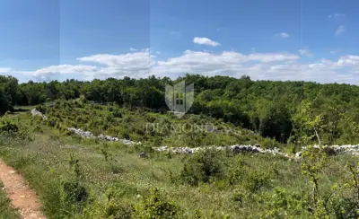 Building plot with project in the vicinity of Vodnjan - 4