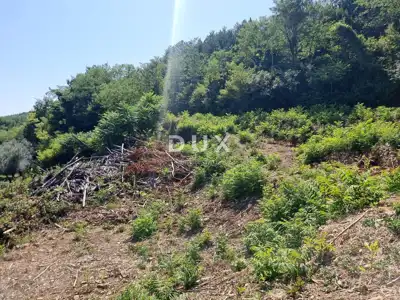 Building plot, Grožnjan - panoramic views and seclusion - 16