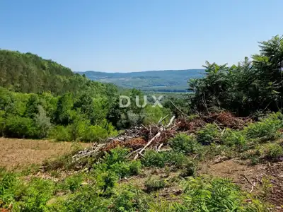 Building plot, Grožnjan - panoramic views and seclusion - 3
