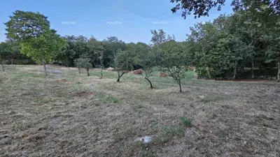 Building land 3 623 m², Tinjan - quiet part of the municipality - 5