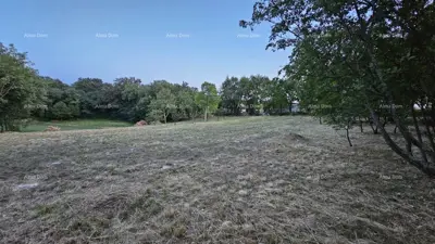 Building land 3 623 m², Tinjan - quiet part of the municipality - 7