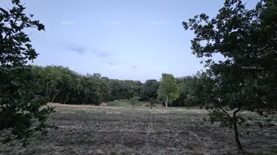 Building land 3 623 m², Tinjan - quiet part of the municipality - 6