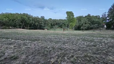 Building land 3 623 m², Tinjan - quiet part of the municipality - 4