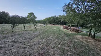 Building land 3 623 m², Tinjan - quiet part of the municipality - 2