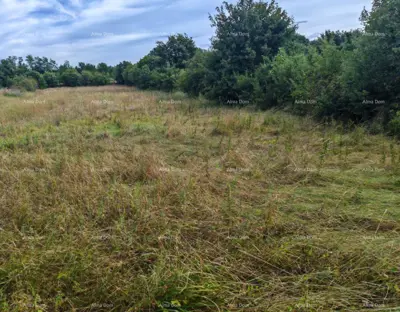 Building land 1 600 m², Svetvinčenat, quiet location - 2