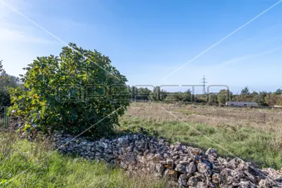 Građevinsko zemljište 500 m², Kužinići, Marčana, dozvola i bazen - 4