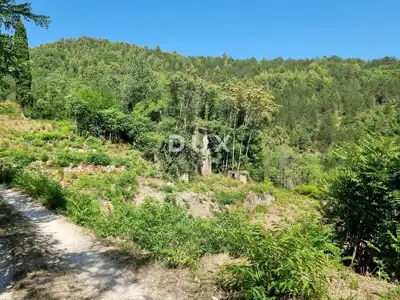 ISTRA, GROŽNJAN - Estate in seclusion with panoramic views - 7