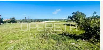 Lovreč, Sveti Lovreč, 715,00 m², 105.000,00 EUR - 4