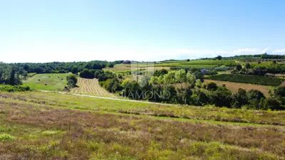 Building plot, Poreč, view of the vineyard and hillock - 4