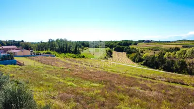 Building plot, Poreč, view of the vineyard and hillock - 3