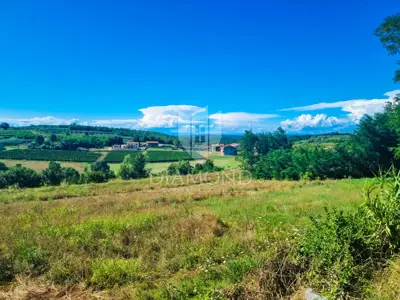 Građevinsko zemljište, Poreč, pogled na vinograd i brdašce