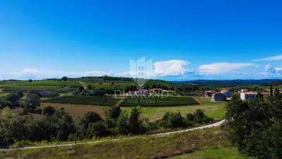 Building plot, Poreč, view of the vineyard and hillock - 2
