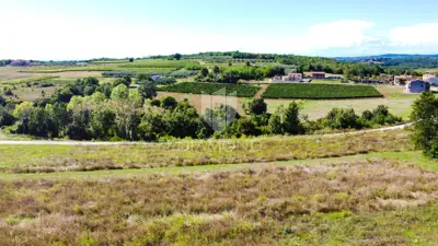 Building plot, Poreč, view of the vineyard and hillock - 5