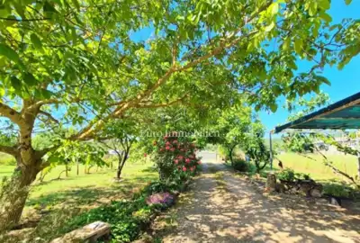 House with a spacious yard in a peaceful setting, Krk - 7