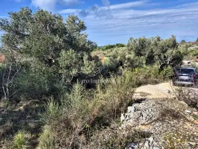 Agricultural land 5,375 m², Betina - second row to the sea - 4