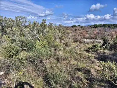 Agricultural land 5,375 m², Betina - second row to the sea - 2