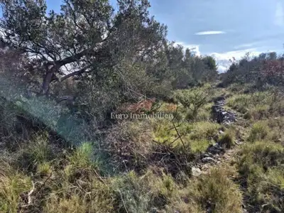 Agricultural land 5,375 m², Betina - second row to the sea - 6