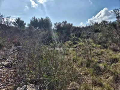 Agricultural land 5,375 m², Betina - second row to the sea - 7