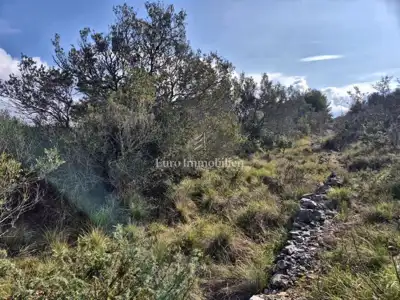 Agricultural land 5,375 m², Betina - second row to the sea - 5