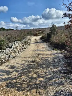 Agricultural land 5,375 m², Betina - second row to the sea - 3