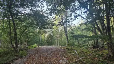 Land plot for sale in Kamensko - 9