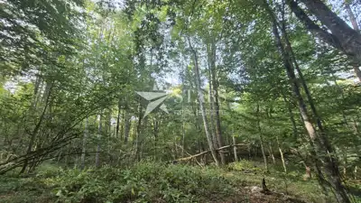Land plot for sale in Kamensko - 7