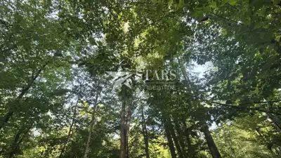 Land plot for sale in Kamensko - 2