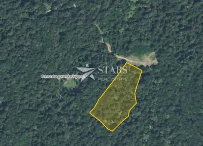 Gorski kotar, Vrbovsko – šuma gospodarske namjene 8.995 m² s uređenim