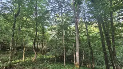 Land plot for sale in Kamensko - 5