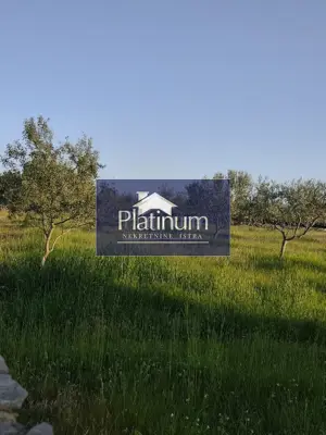 Istra, Golubovo wunderschöner Olivenhain zu verkaufen - 8