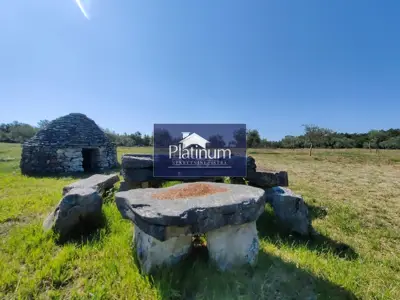 Istra, Golubovo wunderschöner Olivenhain zu verkaufen